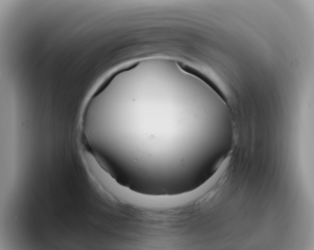 X0000095921532200802081103