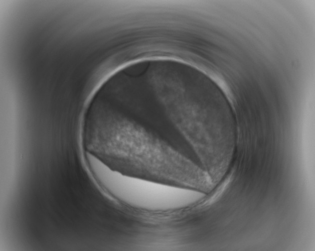 X0000095921533200802081103