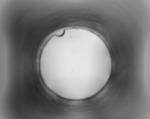 X0000095921535200802081103