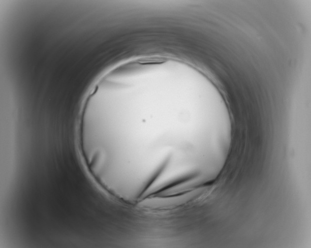 X0000095921536200802081103