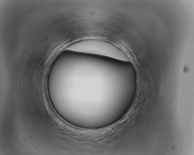 X0000095930001200801110930