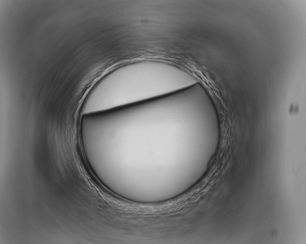 X0000095930002200801110930