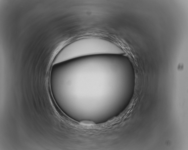 X0000095930003200801110930