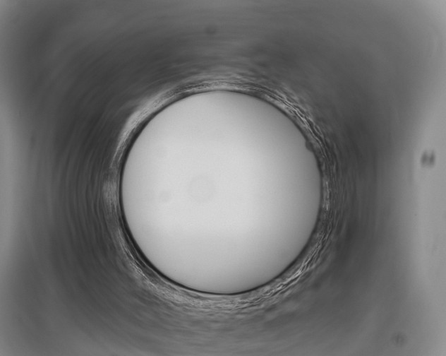 X0000095930004200801110930