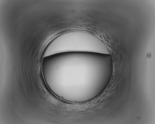 X0000095930005200801110930