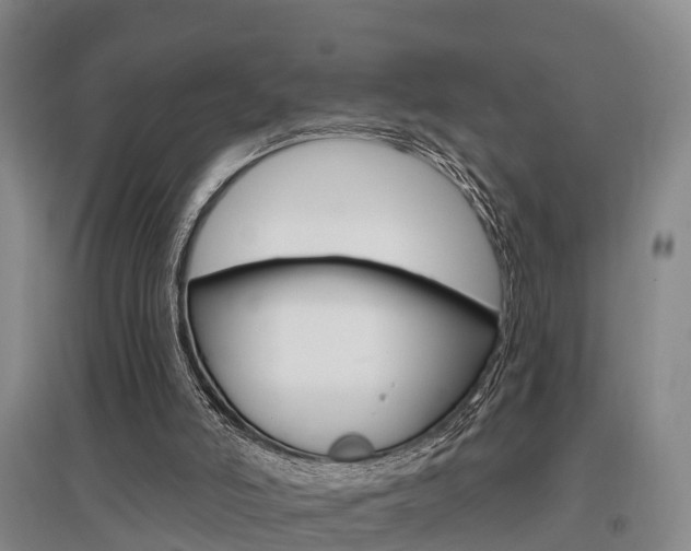 X0000095930006200801110930