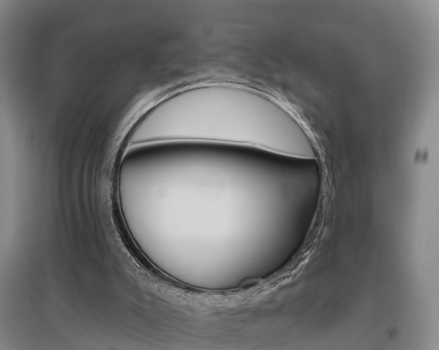 X0000095930007200801110930