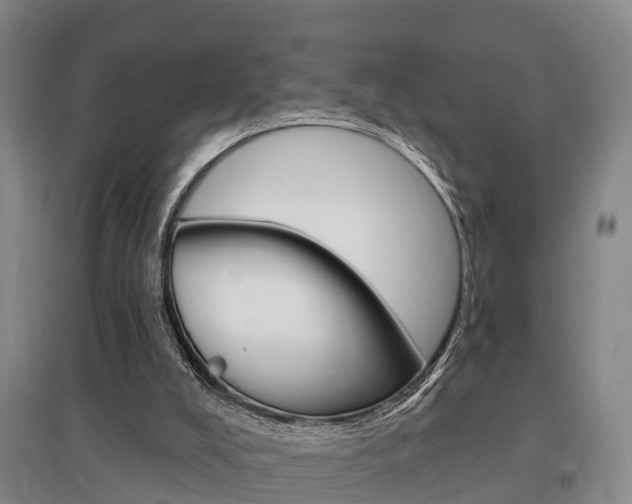 X0000095930008200801110930