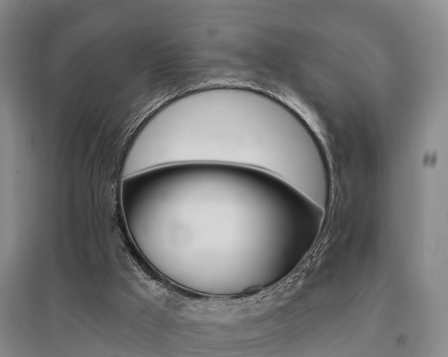 X0000095930009200801110930