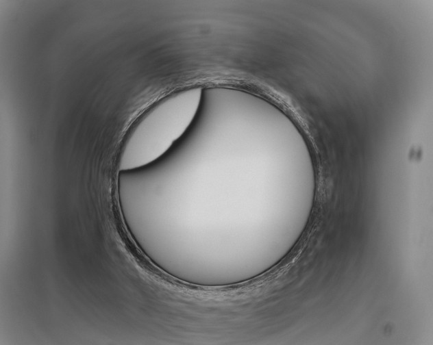 X0000095930010200801110930