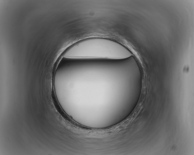 X0000095930011200801110930