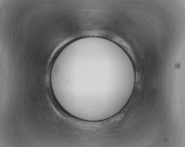 X0000095930012200801110930