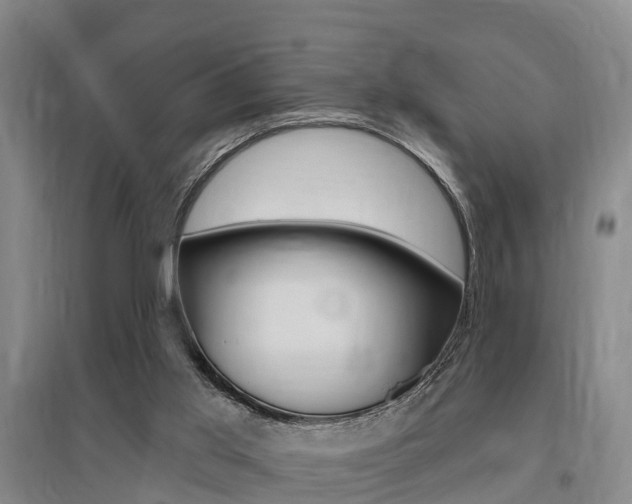 X0000095930013200801110930