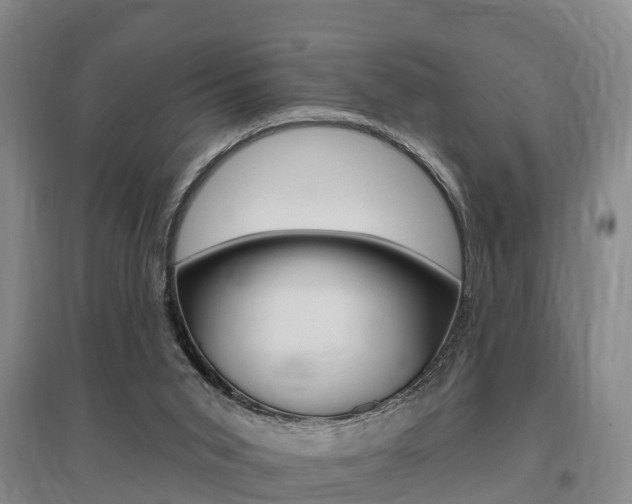 X0000095930015200801110930