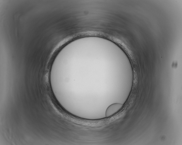 X0000095930016200801110930