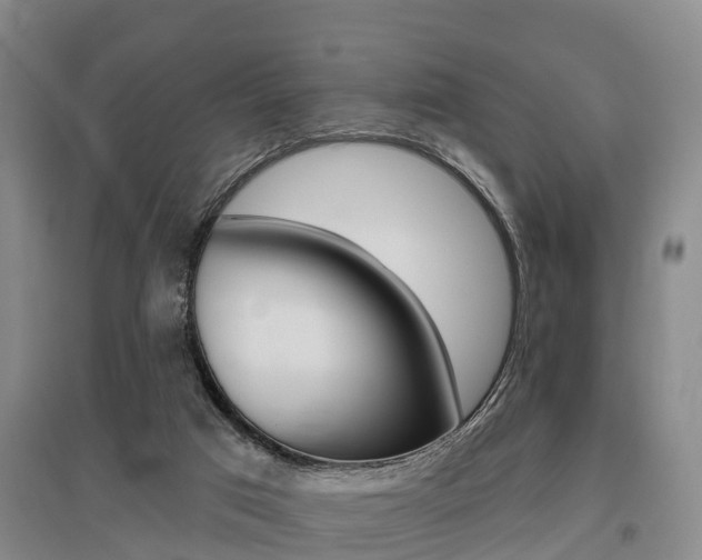X0000095930017200801110930