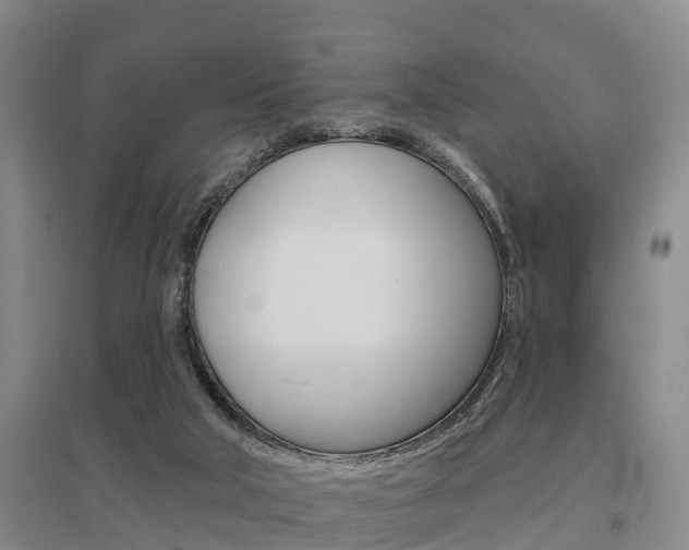 X0000095930018200801110930