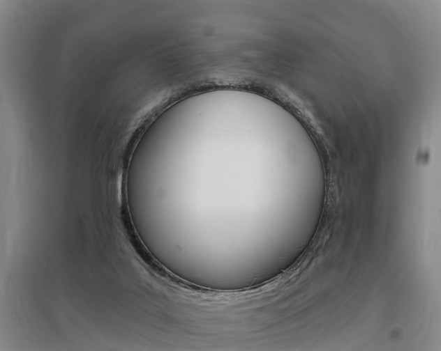 X0000095930019200801110930