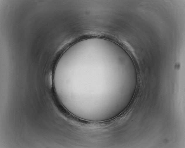 X0000095930020200801110930
