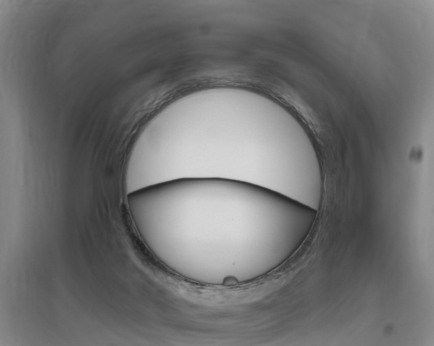 X0000095930022200801110930
