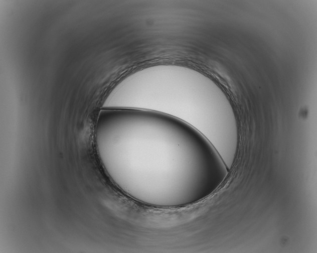 X0000095930029200801110929