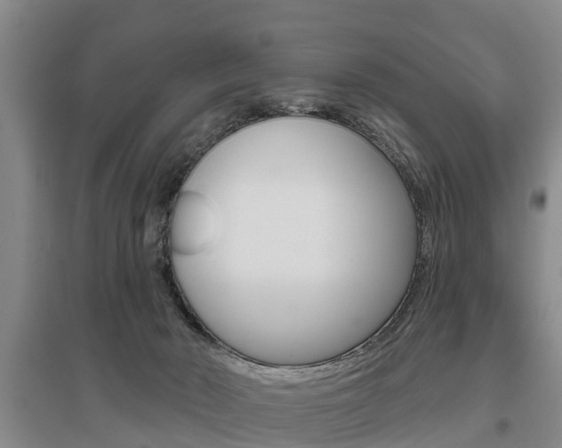 X0000095930030200801110929