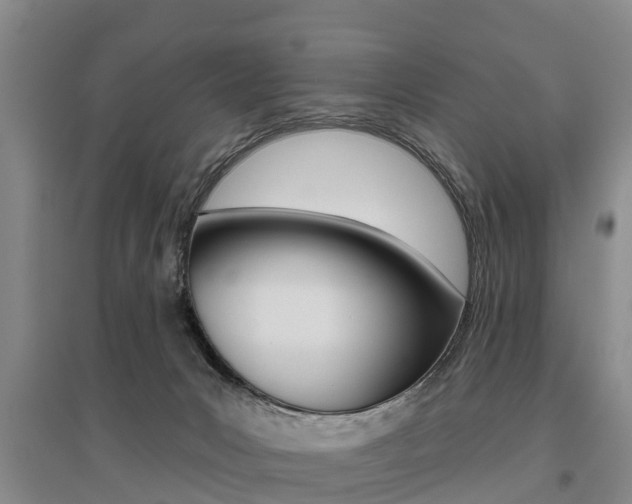 X0000095930031200801110929