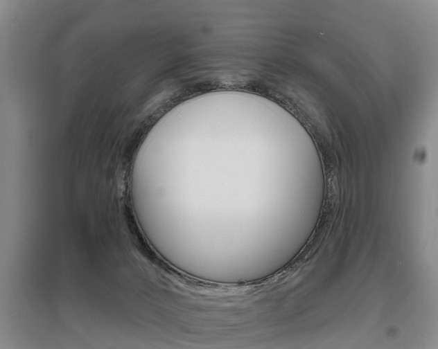 X0000095930032200801110929