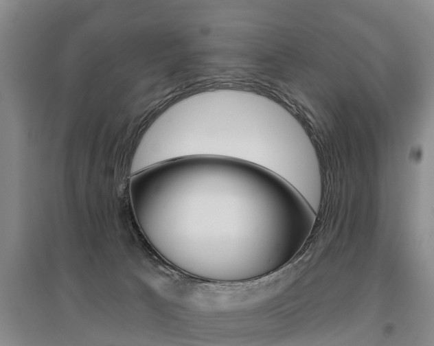 X0000095930033200801110929