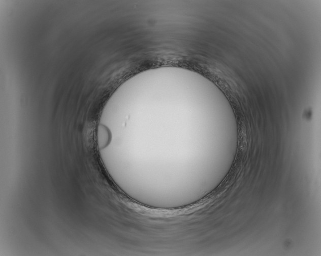 X0000095930034200801110929