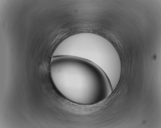 X0000095930035200801110929