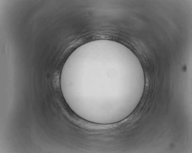 X0000095930036200801110929