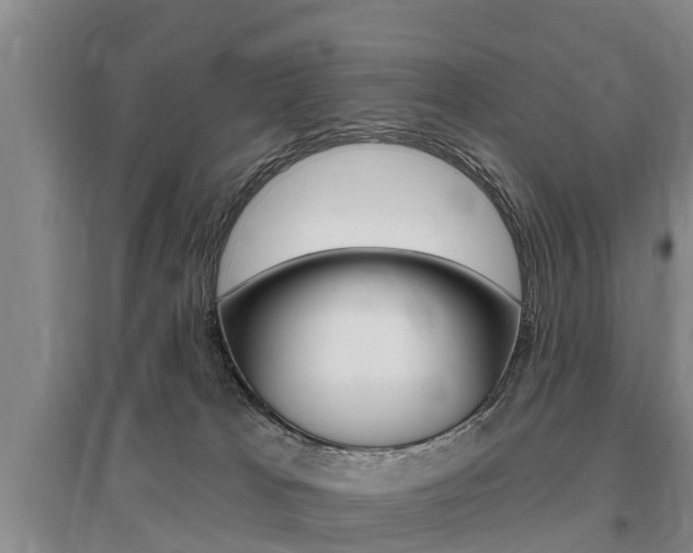 X0000095930037200801110929