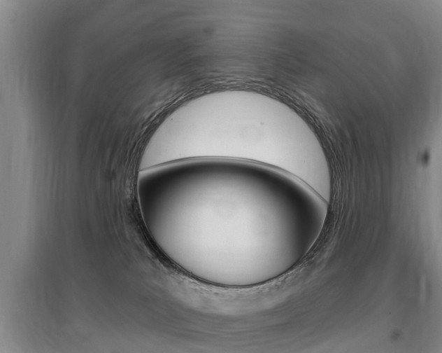 X0000095930039200801110929