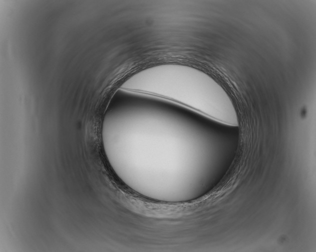 X0000095930044200801110929