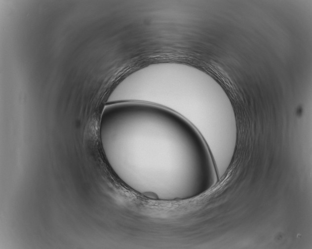 X0000095930045200801110929