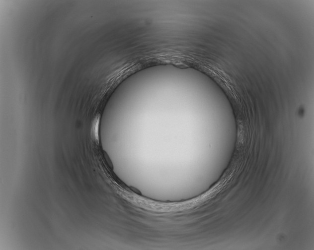 X0000095930047200801110929