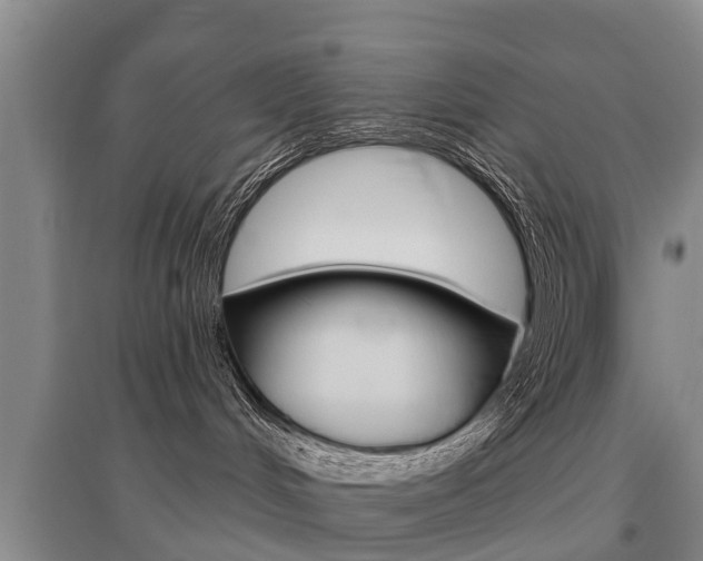 X0000095930048200801110929