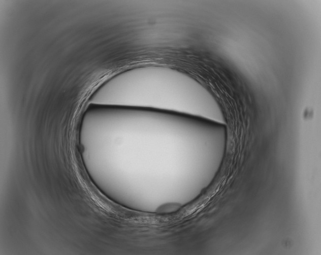 X0000095930049200801110929