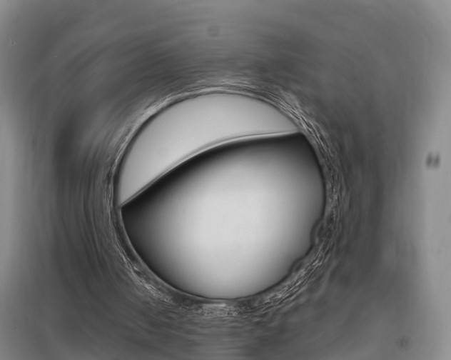 X0000095930050200801110929