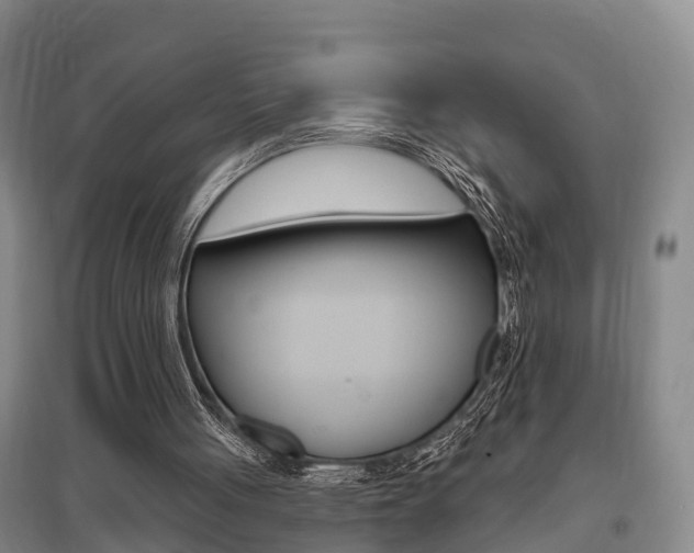 X0000095930051200801110929