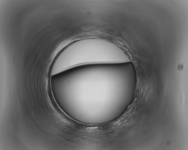 X0000095930054200801110929