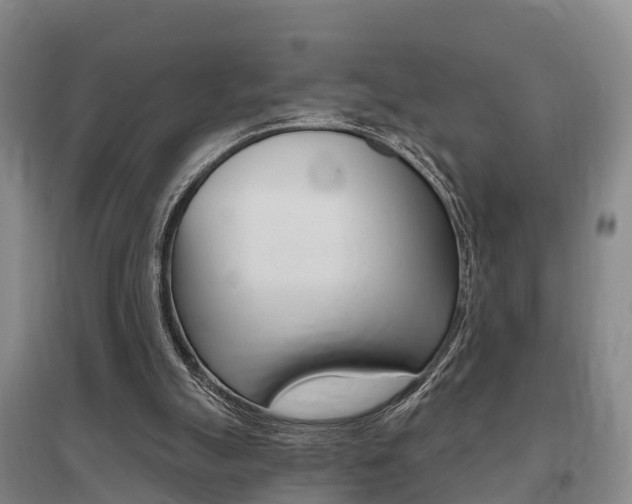 X0000095930055200801110929