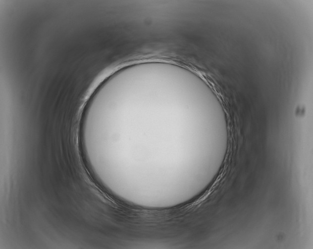 X0000095930056200801110929