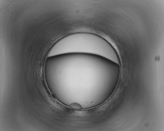 X0000095930057200801110929