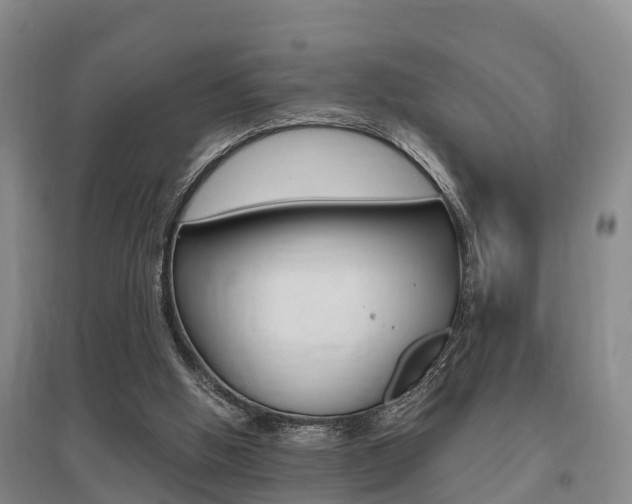 X0000095930058200801110929