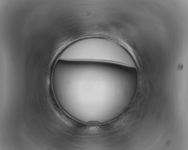 X0000095930059200801110929
