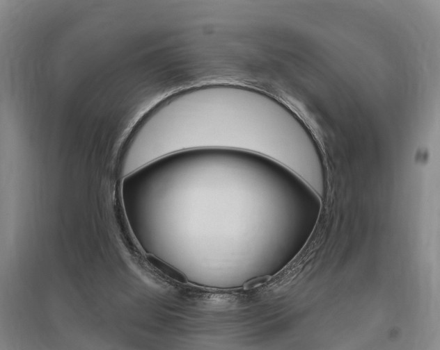 X0000095930060200801110929
