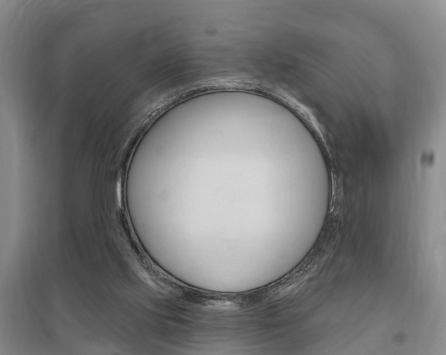 X0000095930061200801110929