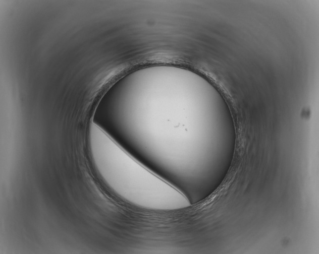 X0000095930062200801110929